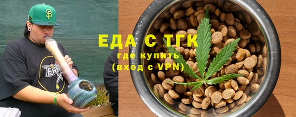 индика Ельня