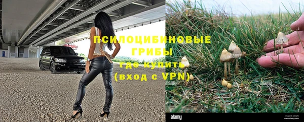 бошки Лихославль