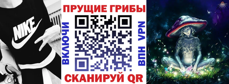 магазин наркотиков Нестеров Псилоцибиновые грибы мухоморы