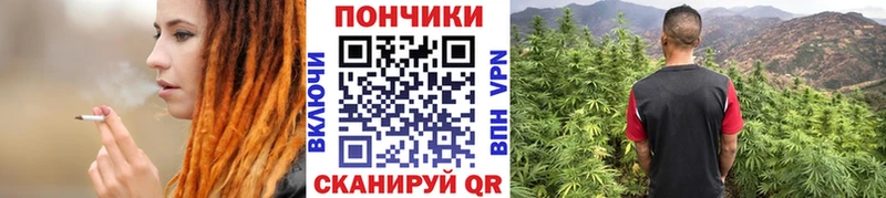 Каннабис план  Нестеров 